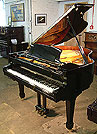 A brand new Halle & Voight grand piano with a black case and polyester finish with a Pianoforce player system installed. The Pianoforce Performance player piano system is a MIDI equipped music playback and record system for acoustic pianos. Whether you want soft background music for conversation, the gentle mood created by an upbeat Jazz trio, or a powerful symphonic experience The Performance will provide you with years of musical enjoyment. The Pianoforce Performer comes with pre-loaded music libraries. Full manual and remote controller available with piano purchase. Pianoforce App now available for the ipPhone and iPod Touch for remote operation of your pianoforce system! A brand new Halle & Voight grand piano with a black case and polyester finish with a Pianoforce player system installed.