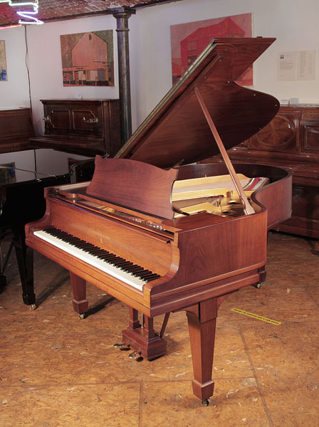 Rebuilt, 1925, Steinway Model O grand piano for sale with a polished, walnut case and spade legs.. Piano has been rebuilt in Germany by Steinway Academy trained technicians using 100% Steinway parts 