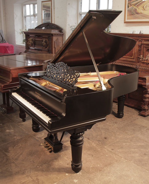 Reconditioned, 1900, Steinway Model B grand piano with a satin, black case and fluted, barrel legs. Piano has a three-pedal lyre and an eighty-eight note keyboard. 